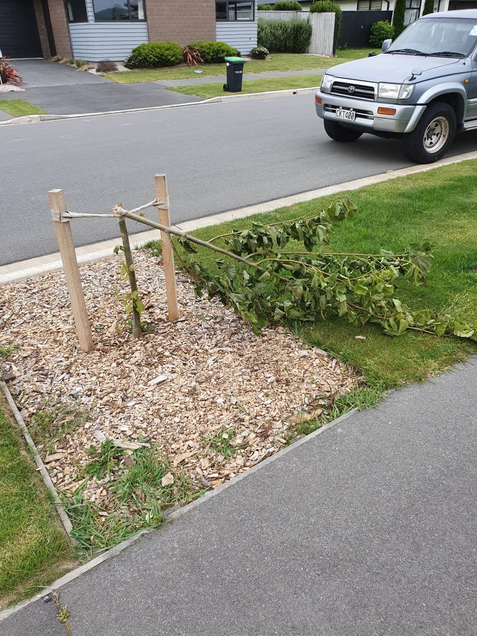 The photograph attached to this parks report