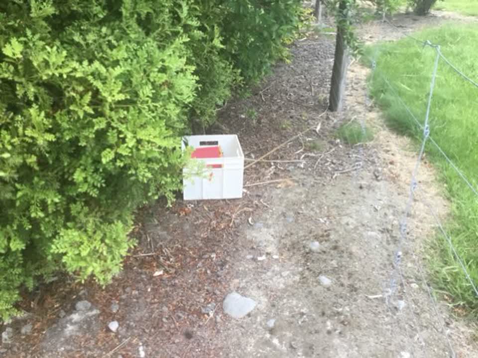 The photograph attached to this rubbish/recycling report