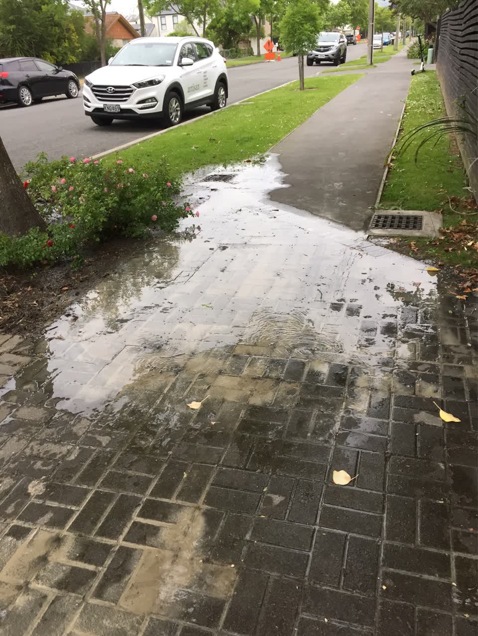 The photograph attached to this water supply report