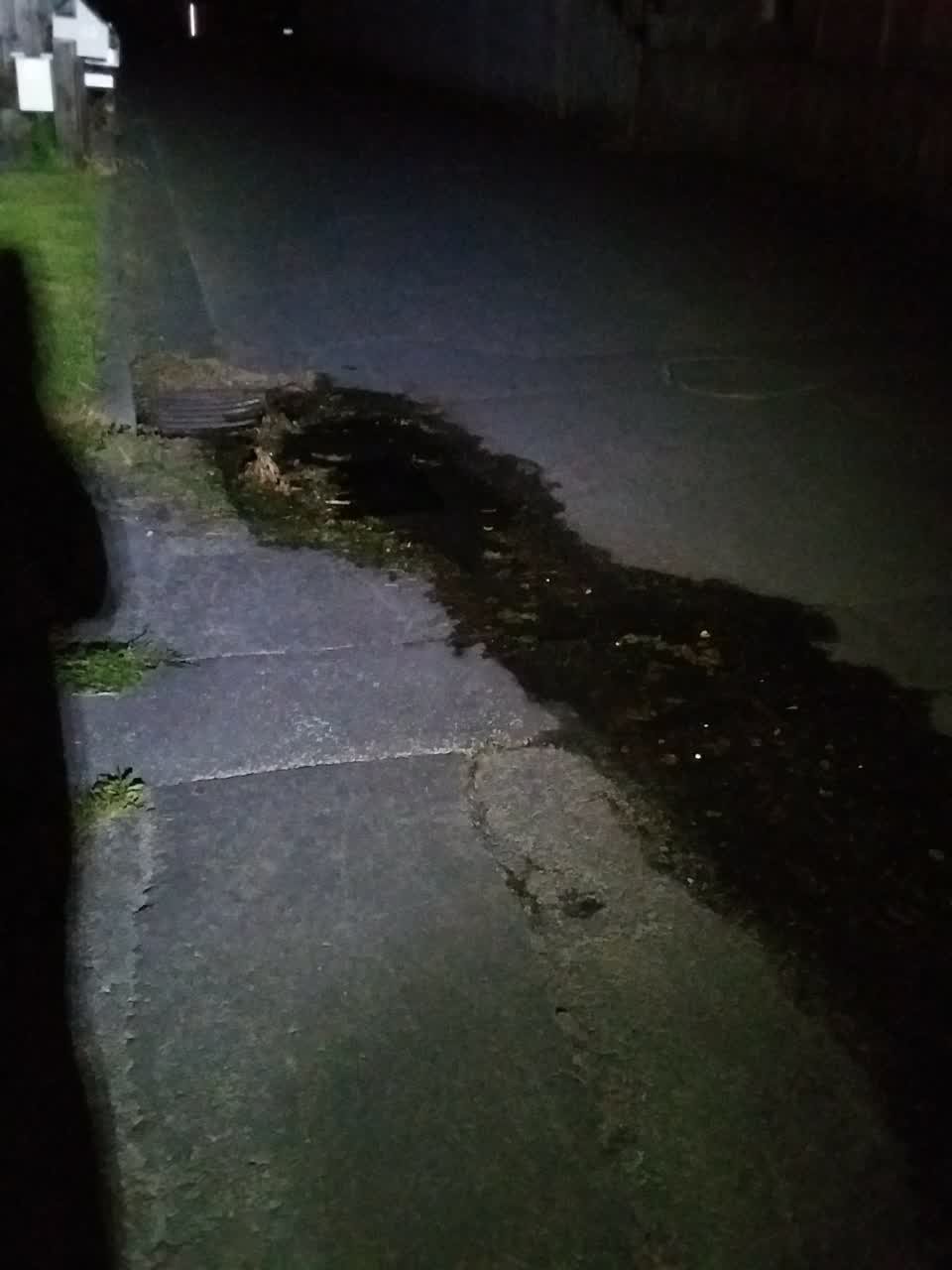 The photograph attached to this water supply report