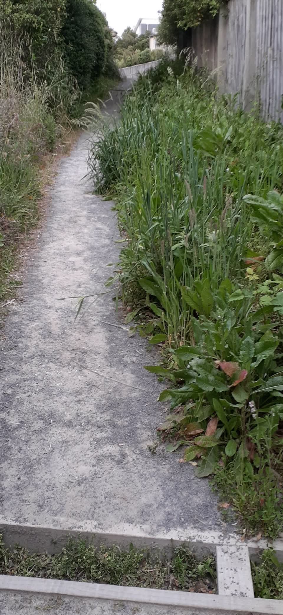 The photograph attached to this parks report
