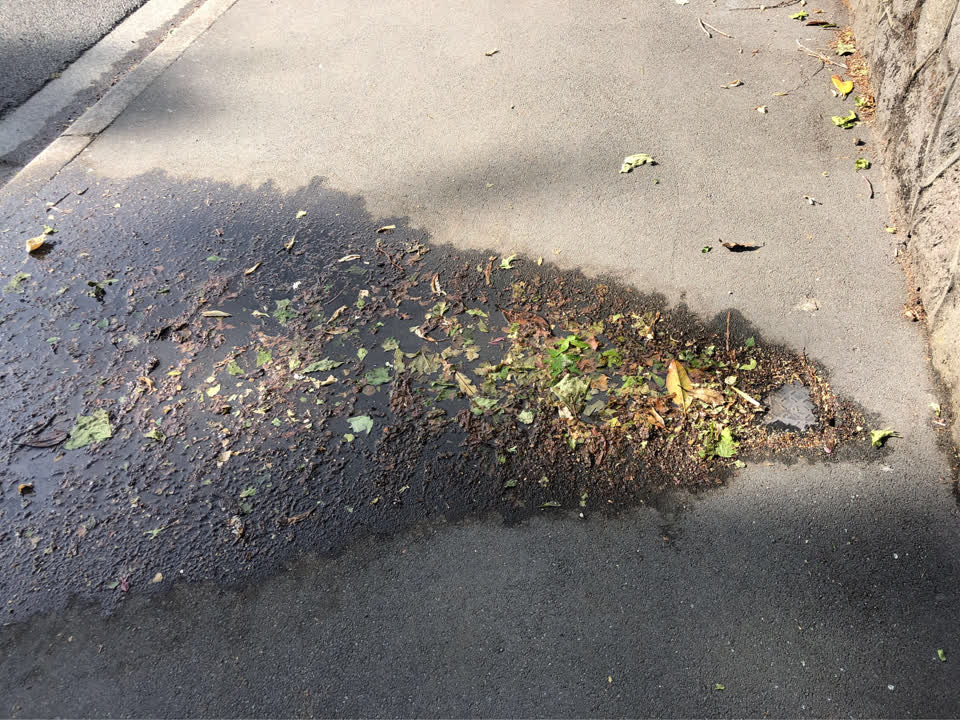 The photograph attached to this water supply report