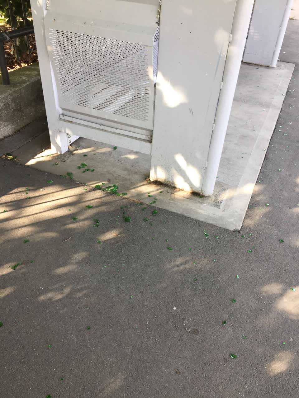 The photograph attached to this rubbish/recycling report