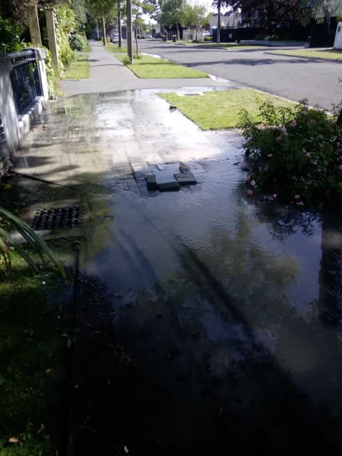 Water Supply, a report photo