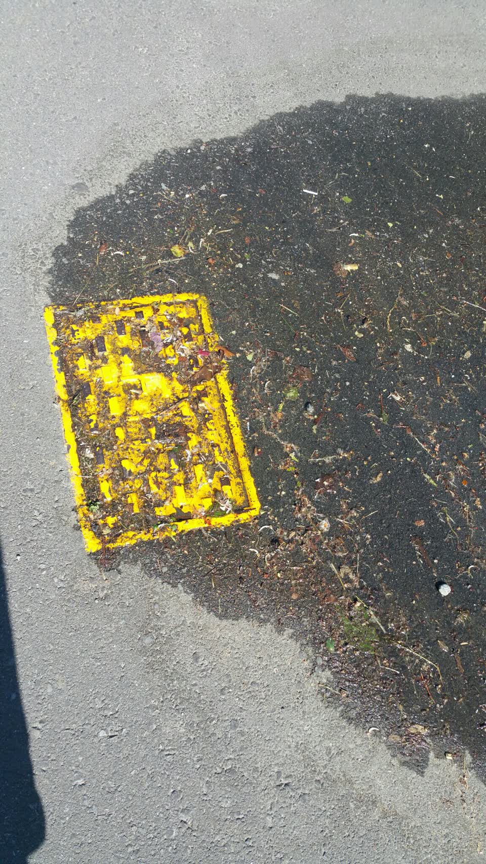 The photograph attached to this water supply report