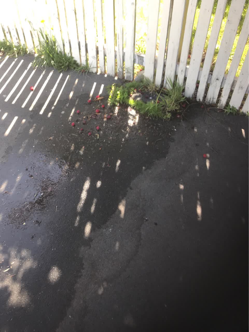 The photograph attached to this water supply report
