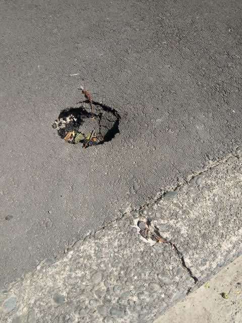 Roading/Streets, a report photo