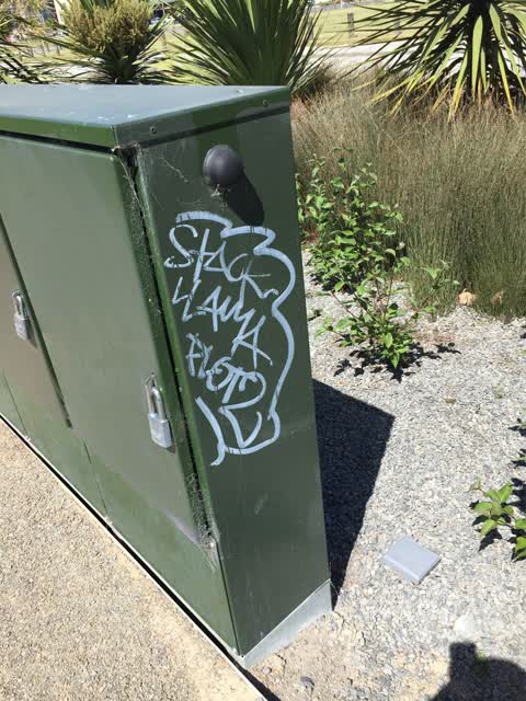Graffiti, a report photo