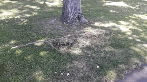 Parks, a report photo