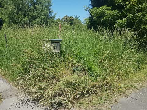 Parks, a report photo