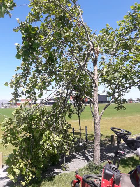 Parks, a report photo