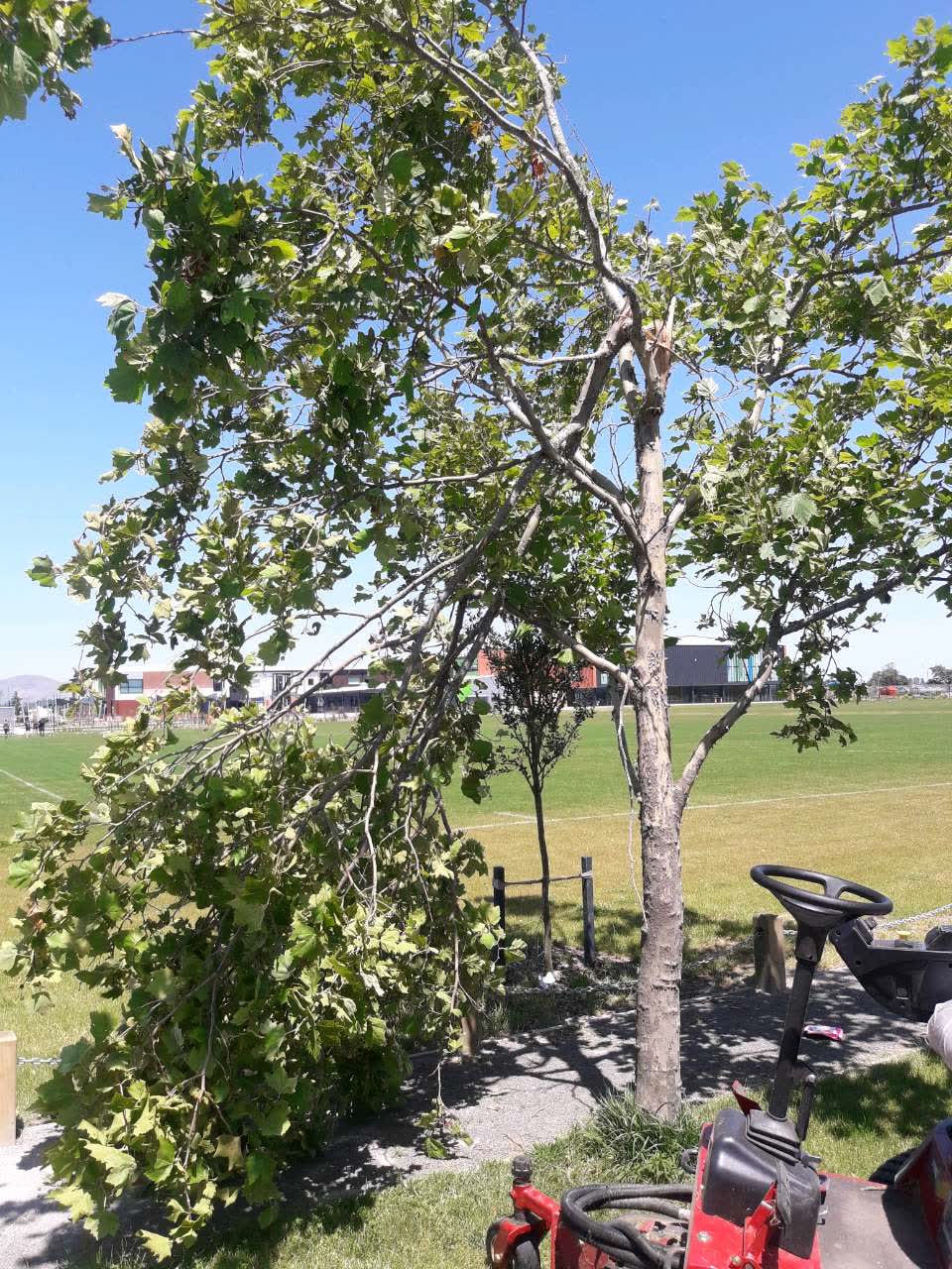 The photograph attached to this parks report