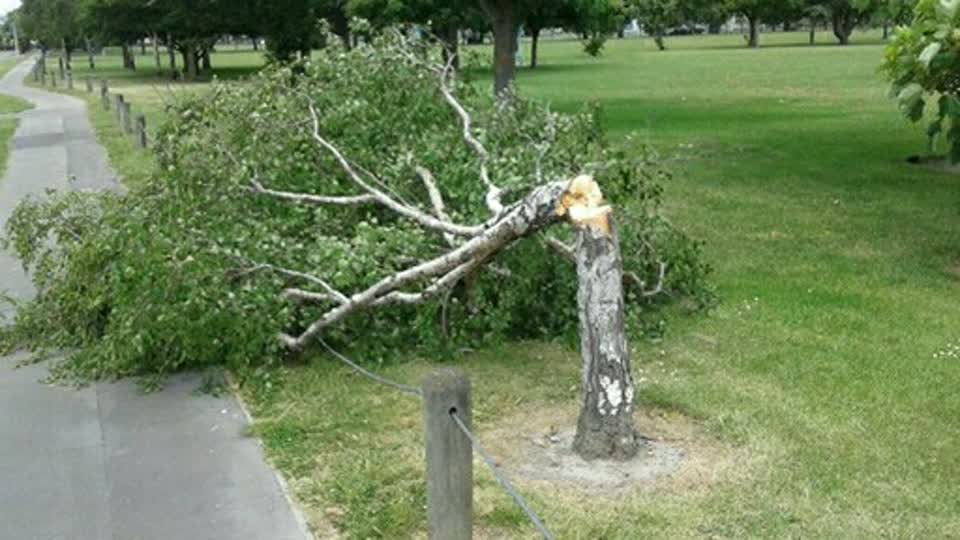 The photograph attached to this parks report