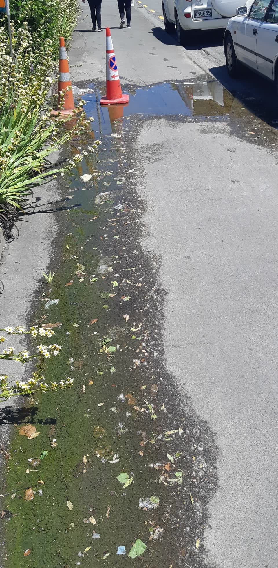 The photograph attached to this flooding report