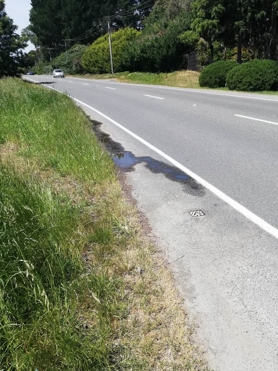 The photograph attached to this water supply report