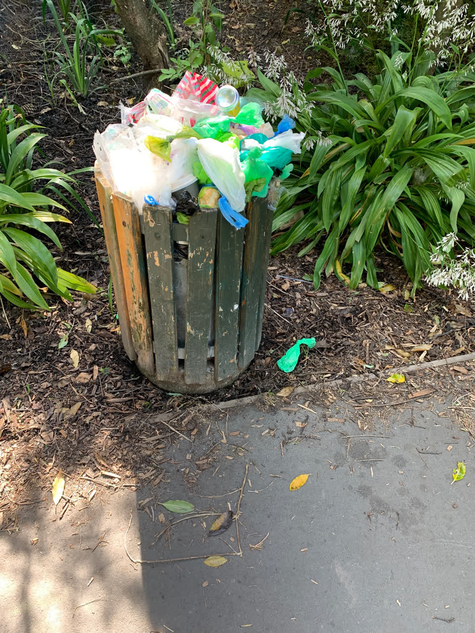The photograph attached to this rubbish/recycling report