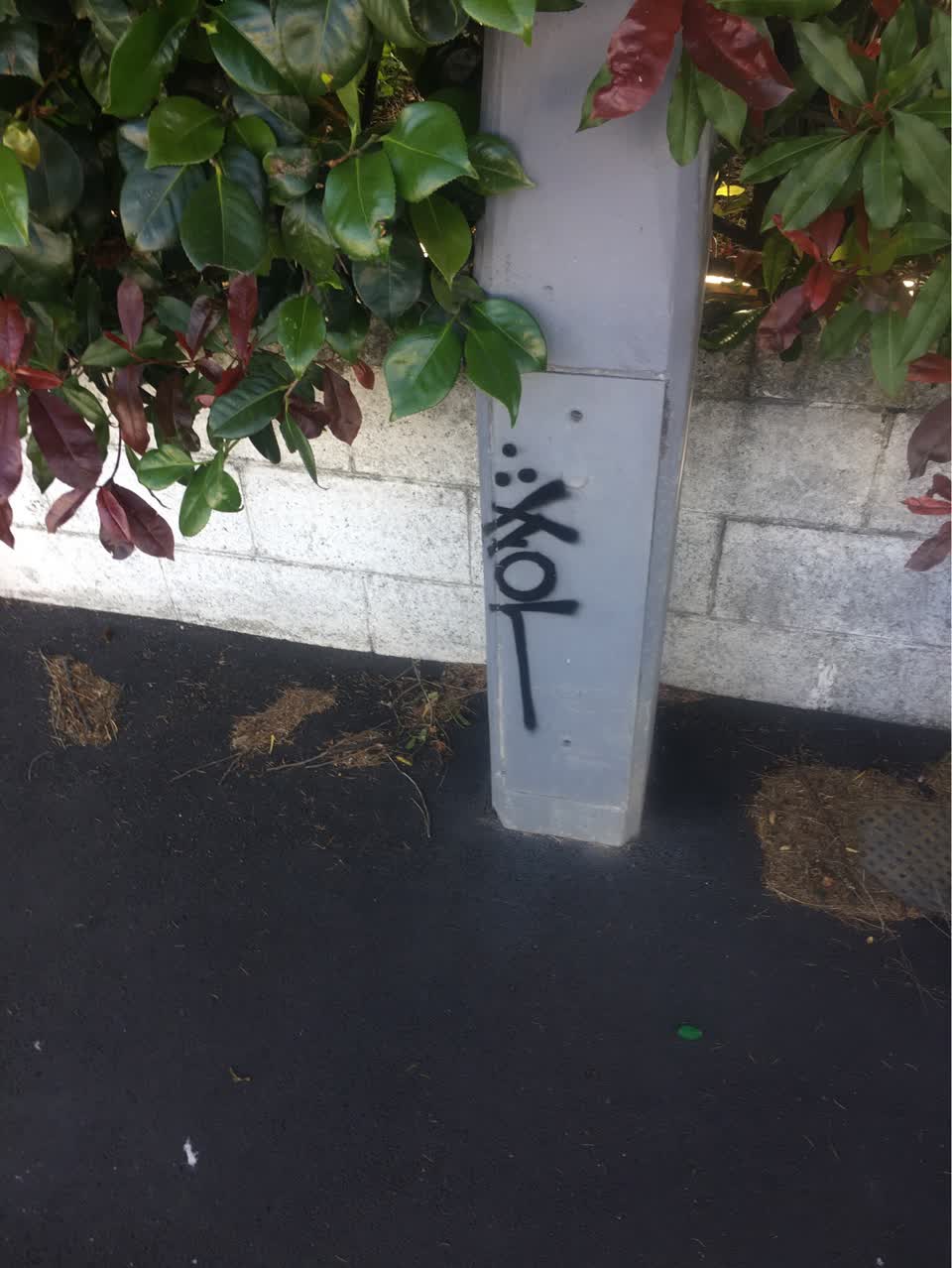 The photograph attached to this graffiti report