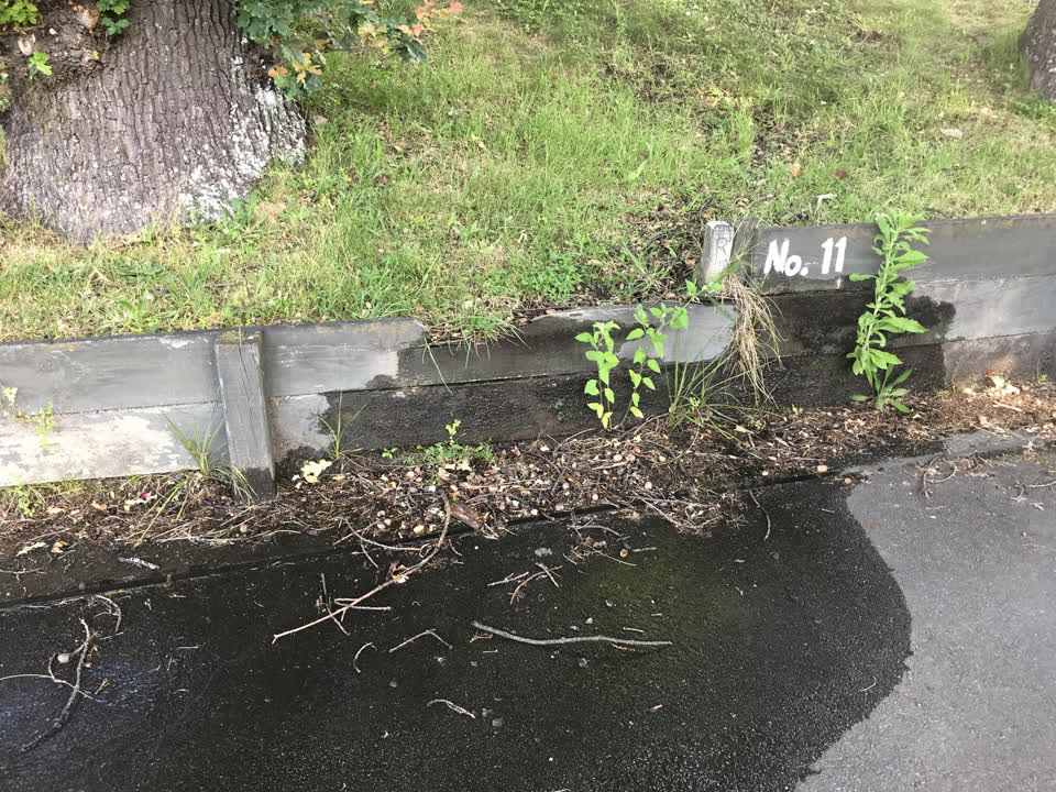 The photograph attached to this water supply report