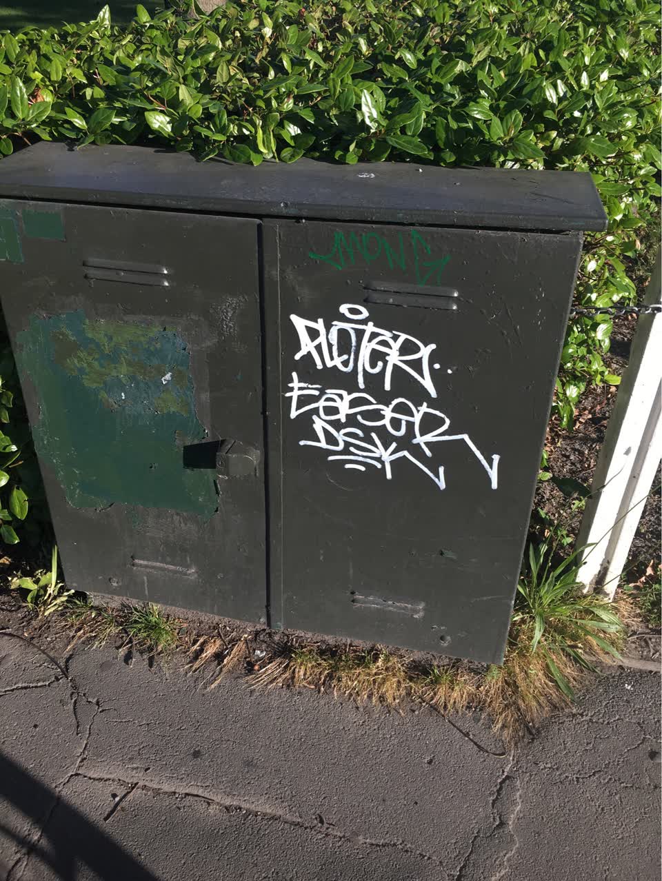 The photograph attached to this graffiti report