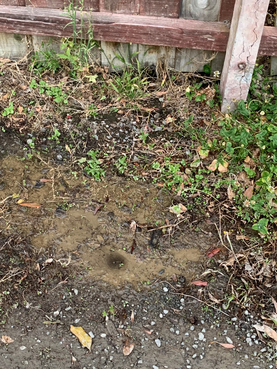 The photograph attached to this water supply report