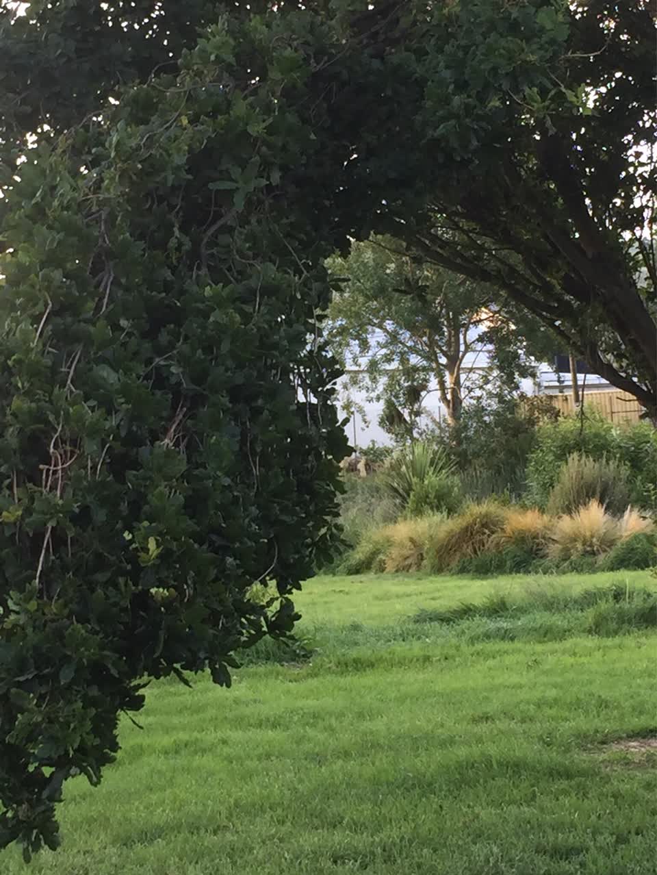 The photograph attached to this parks report