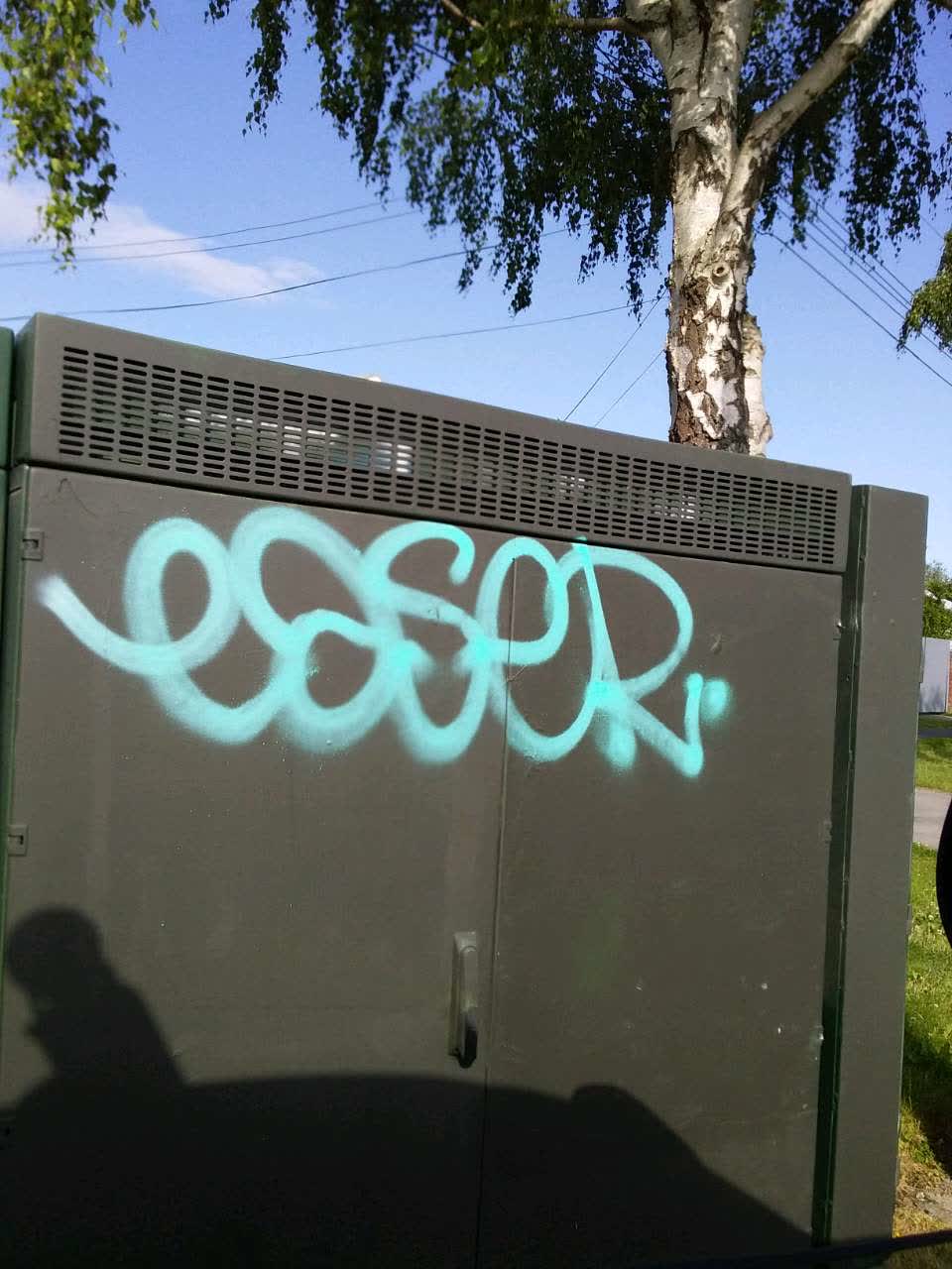 The photograph attached to this graffiti report