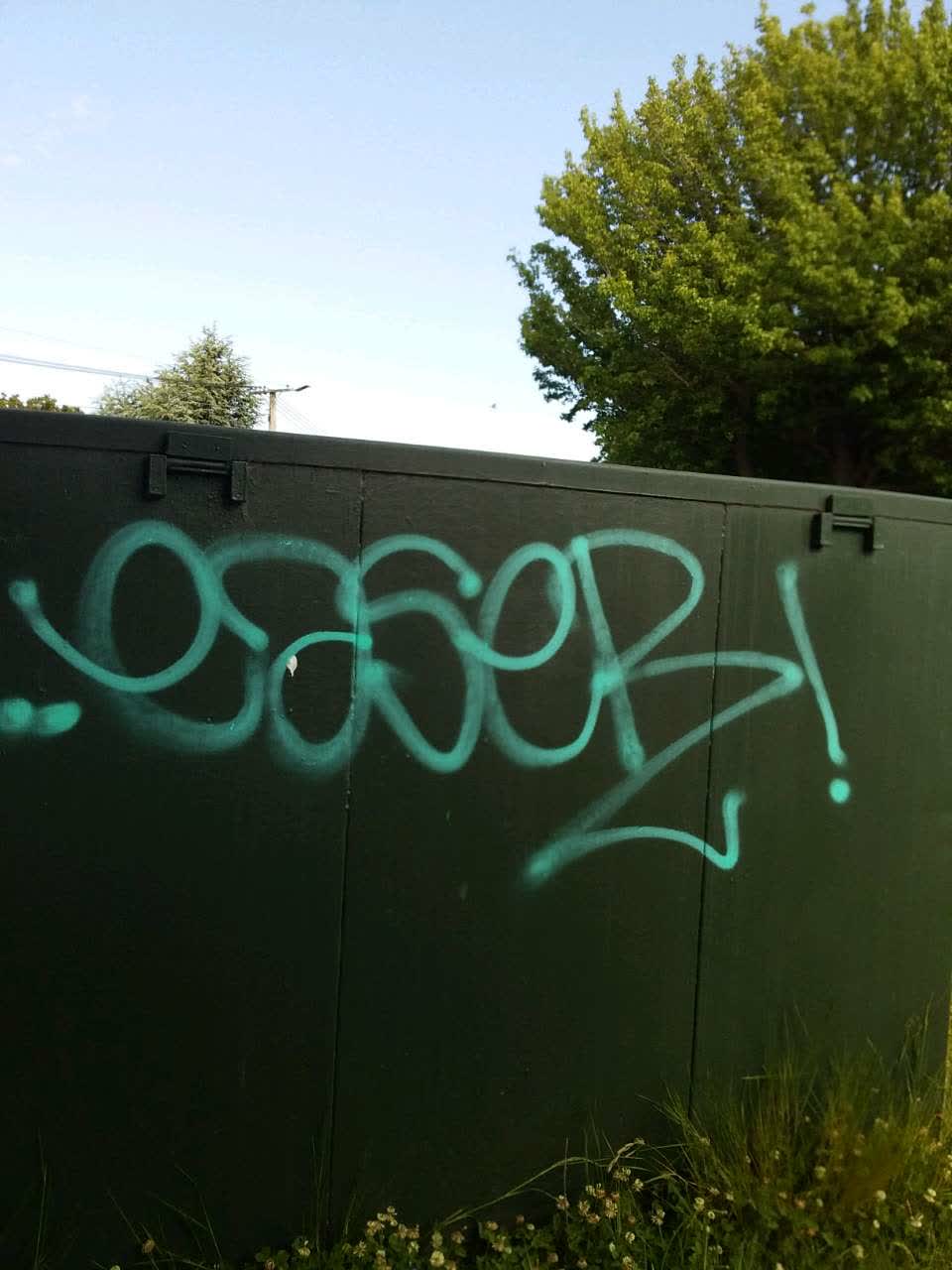 The photograph attached to this graffiti report