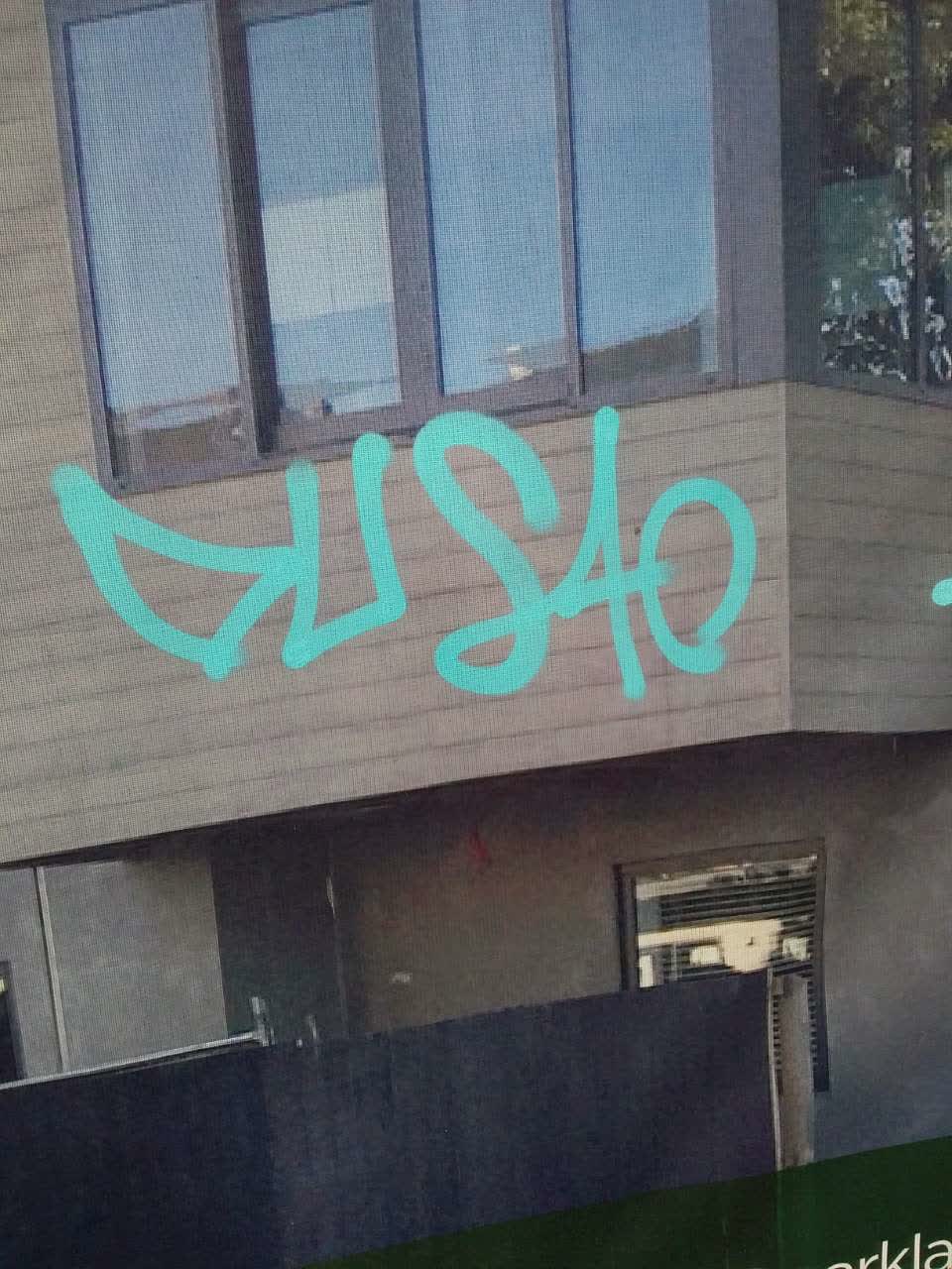 The photograph attached to this graffiti report