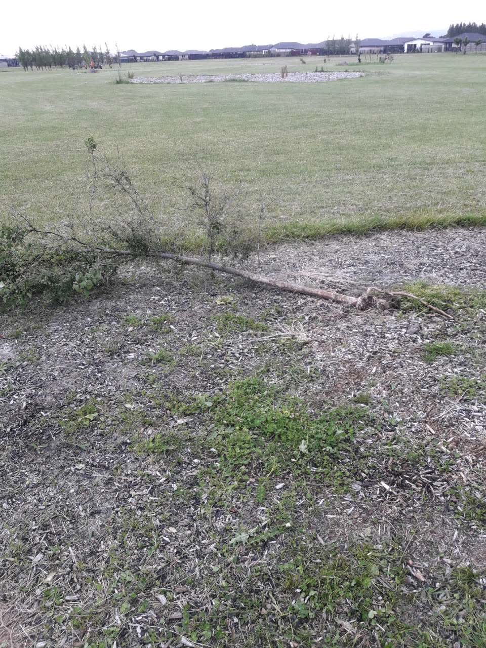 The photograph attached to this parks report