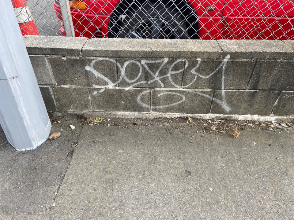 The photograph attached to this graffiti report