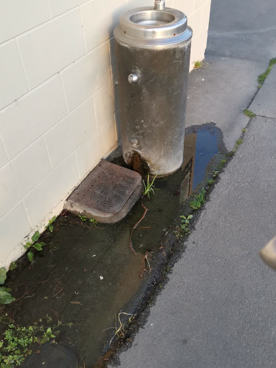 The photograph attached to this water supply report