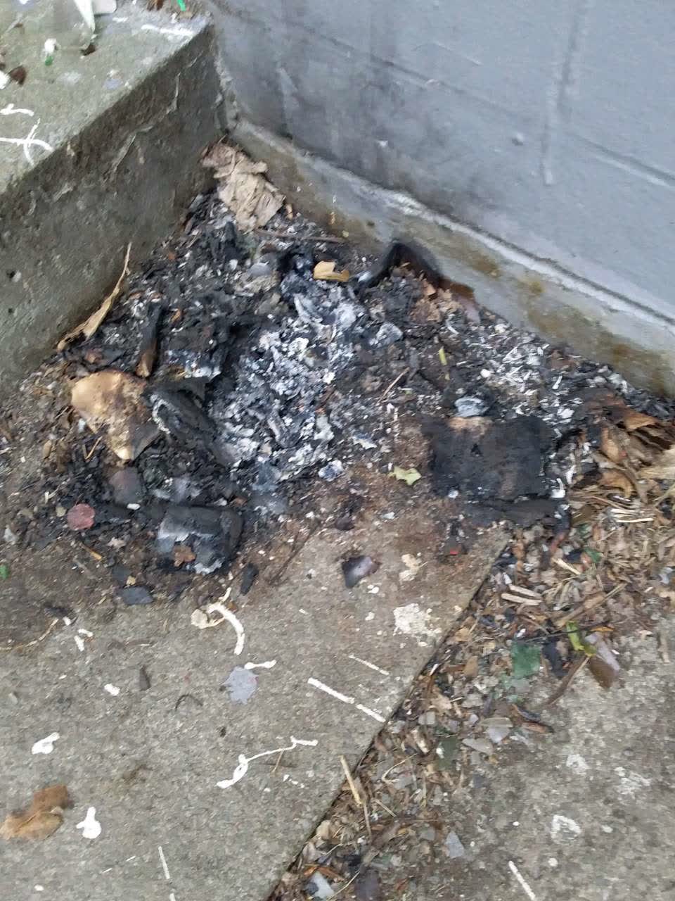 The photograph attached to this parks report