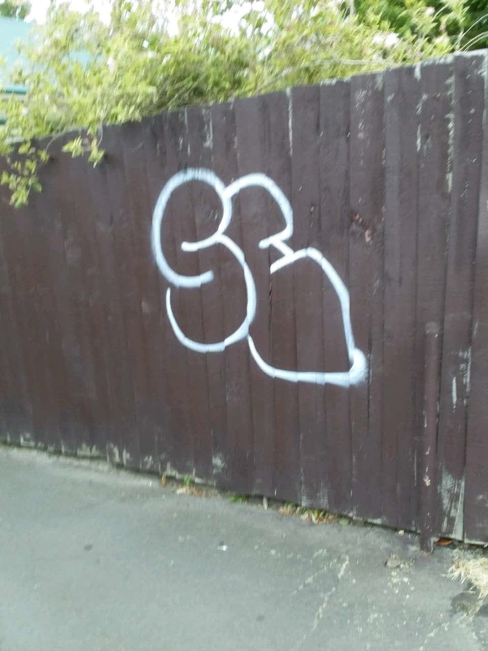 The photograph attached to this graffiti report