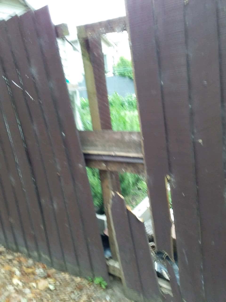 The photograph attached to this parks report