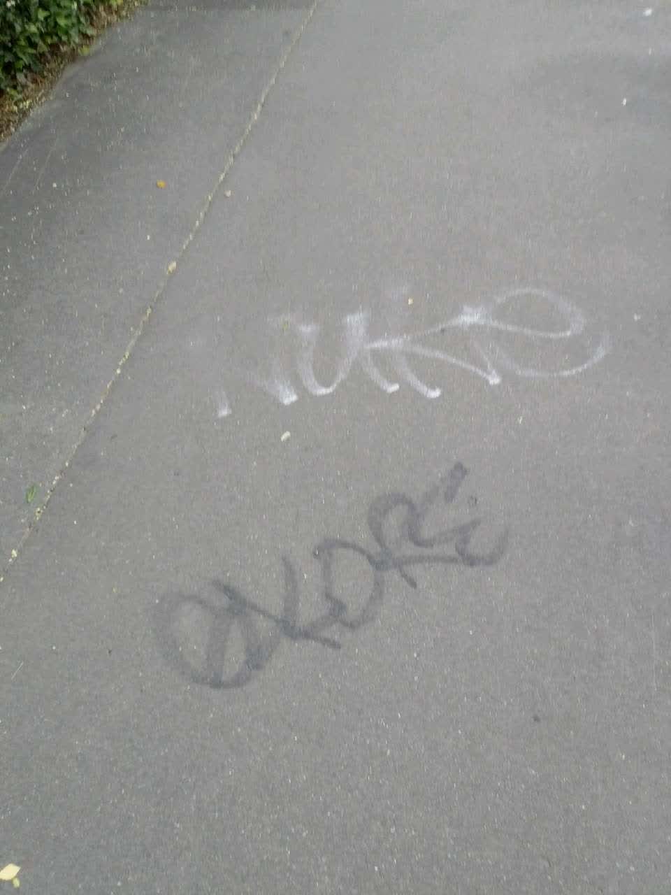 The photograph attached to this graffiti report