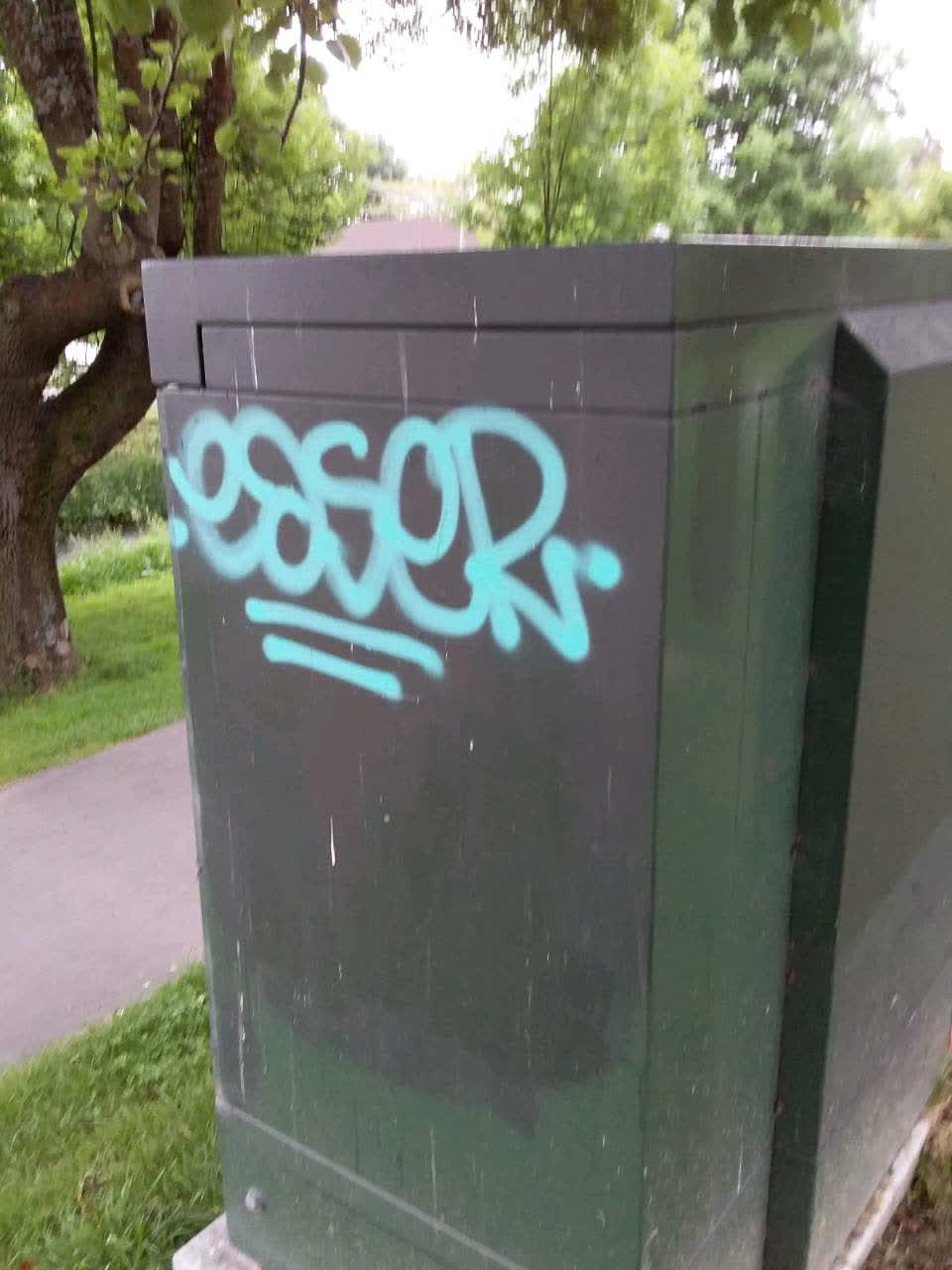 The photograph attached to this graffiti report