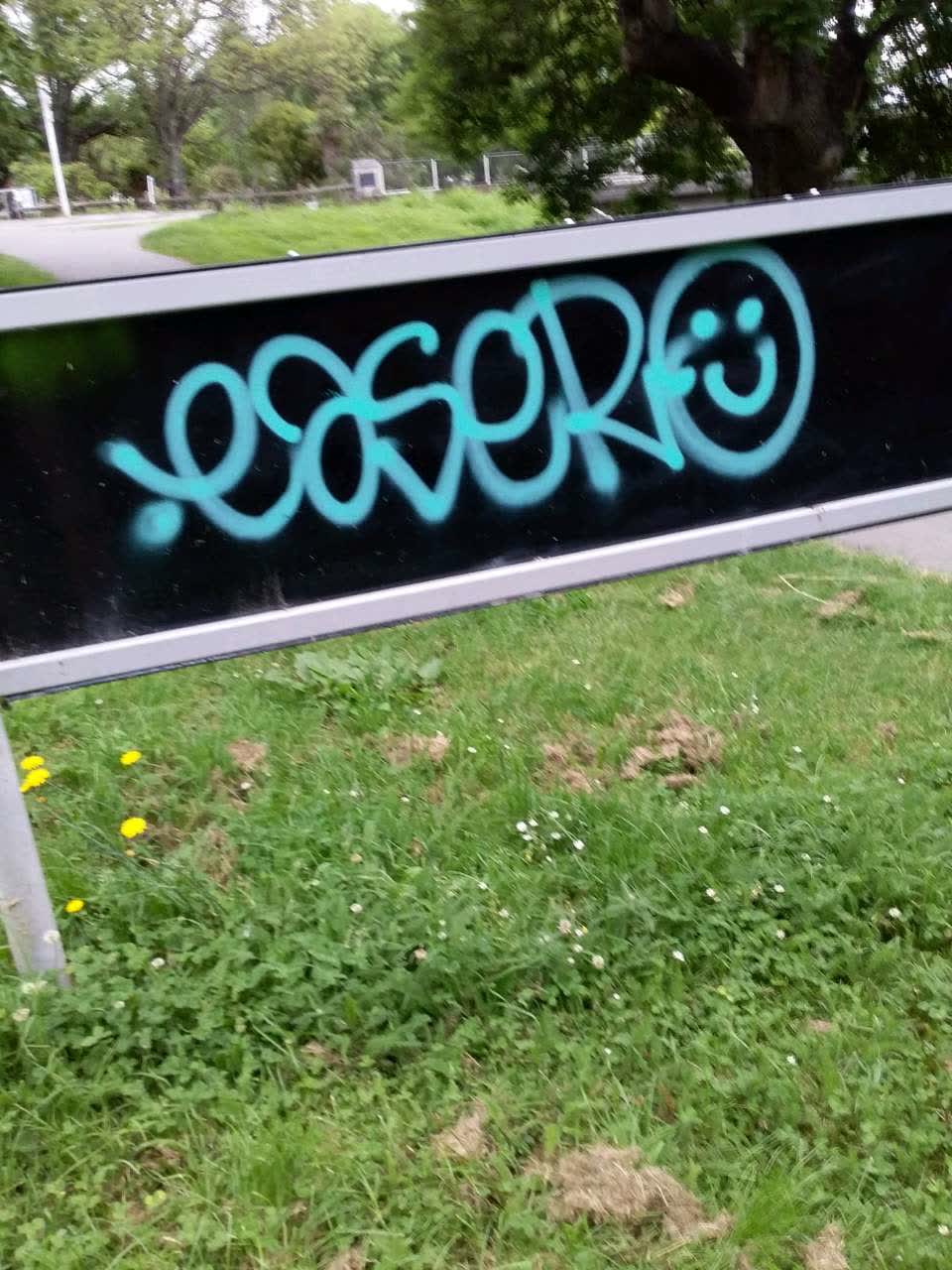 The photograph attached to this graffiti report