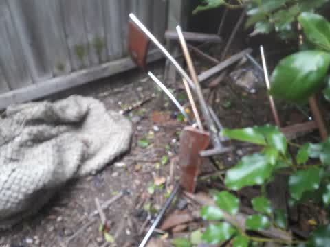Rubbish/Recycling, a report photo