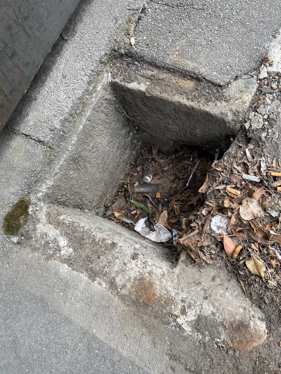 The photograph attached to this roading/streets report