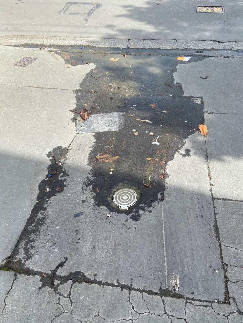 The photograph attached to this roading/streets report