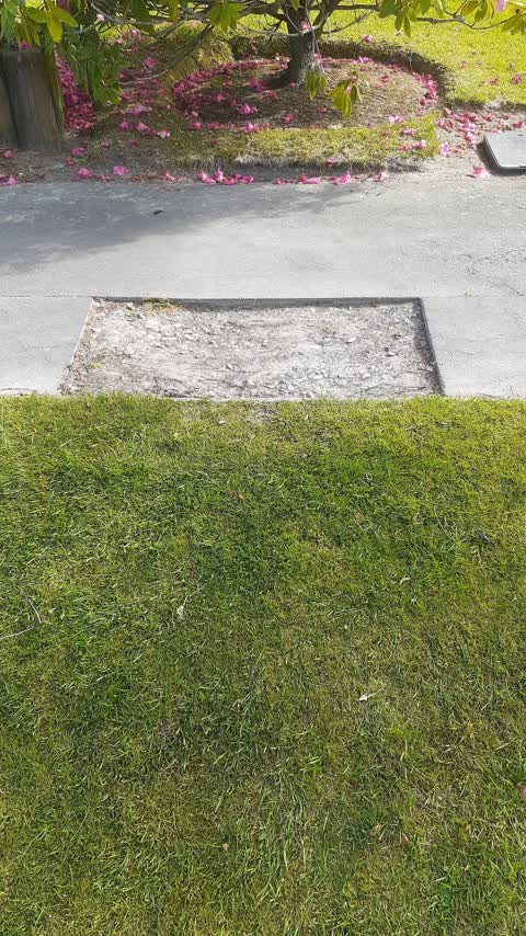 Roading/Streets, a report photo