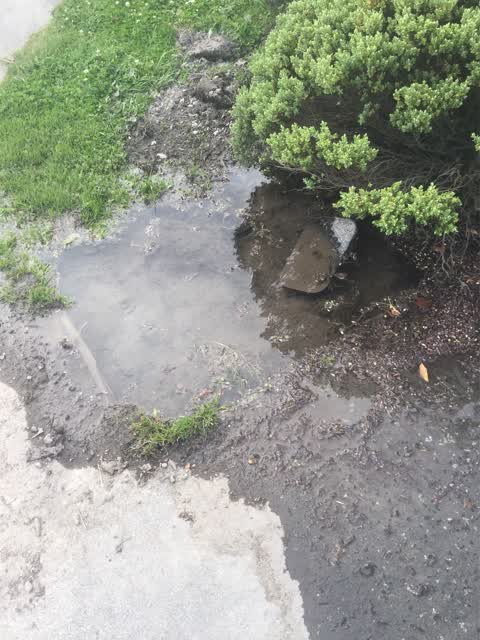 Water Supply, a report photo