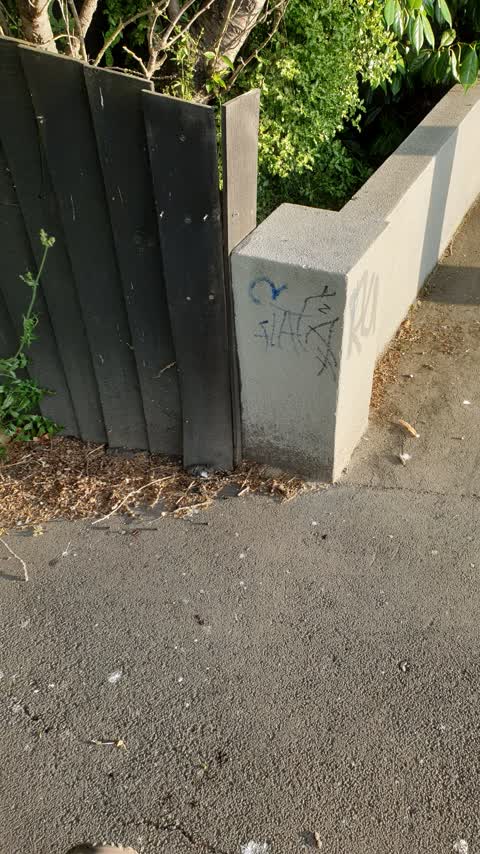 Graffiti, a report photo