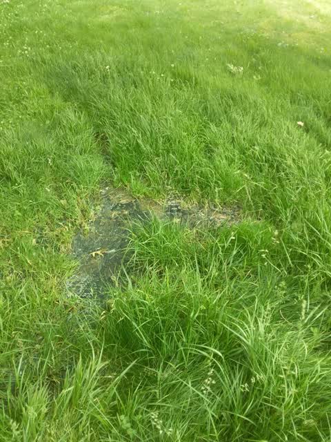 Wastewater/Stormwater, a report photo