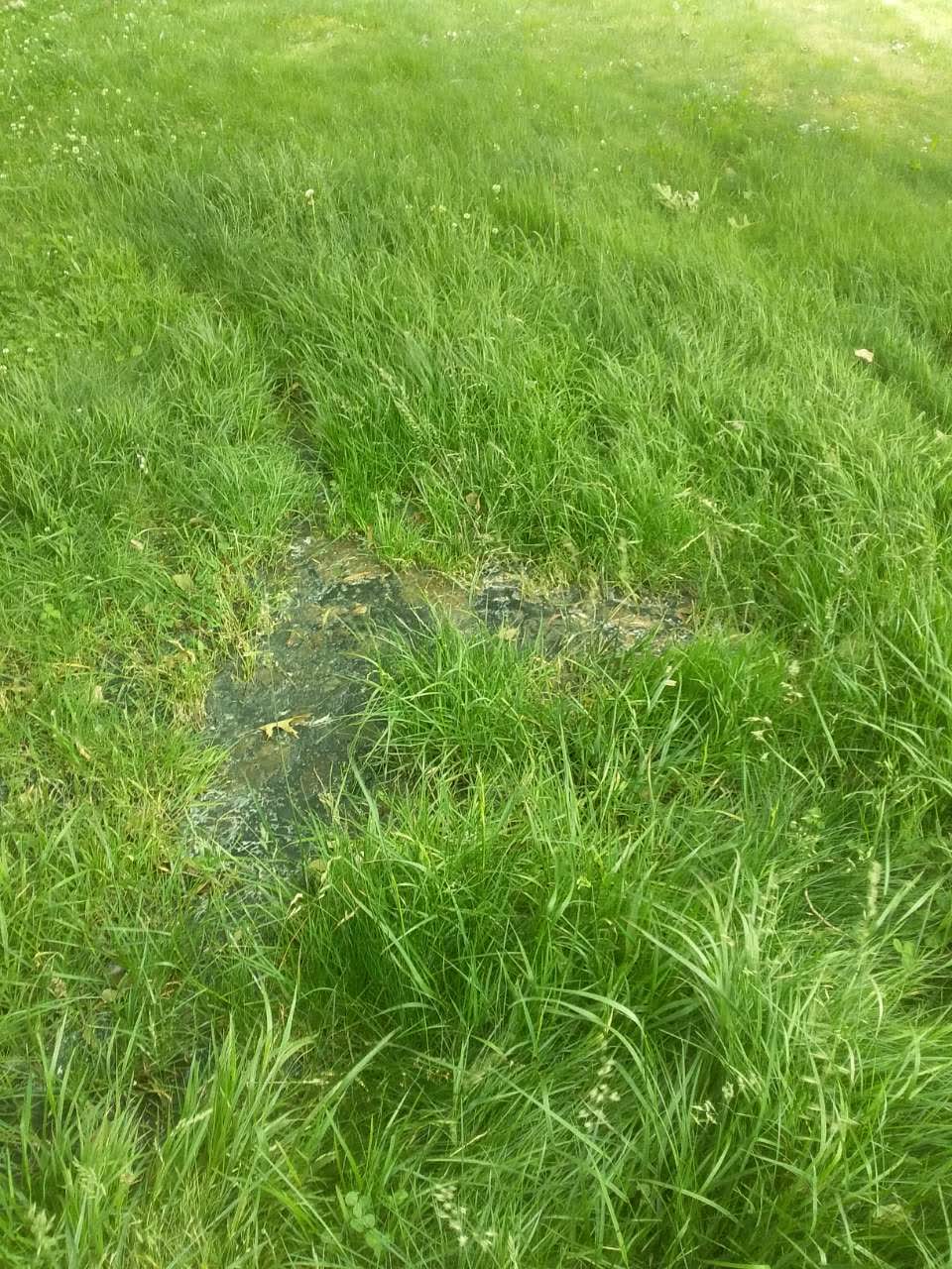 The photograph attached to this wastewater/stormwater report