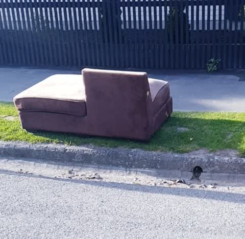 Rubbish/Recycling, a report photo