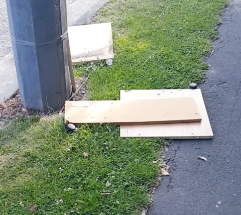 Rubbish/Recycling, a report photo