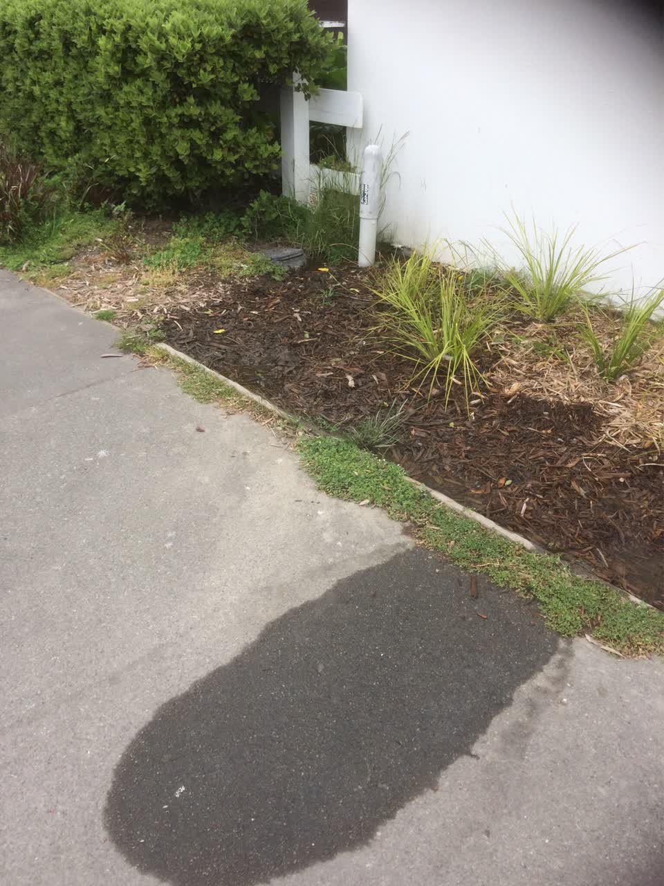 The photograph attached to this water supply report