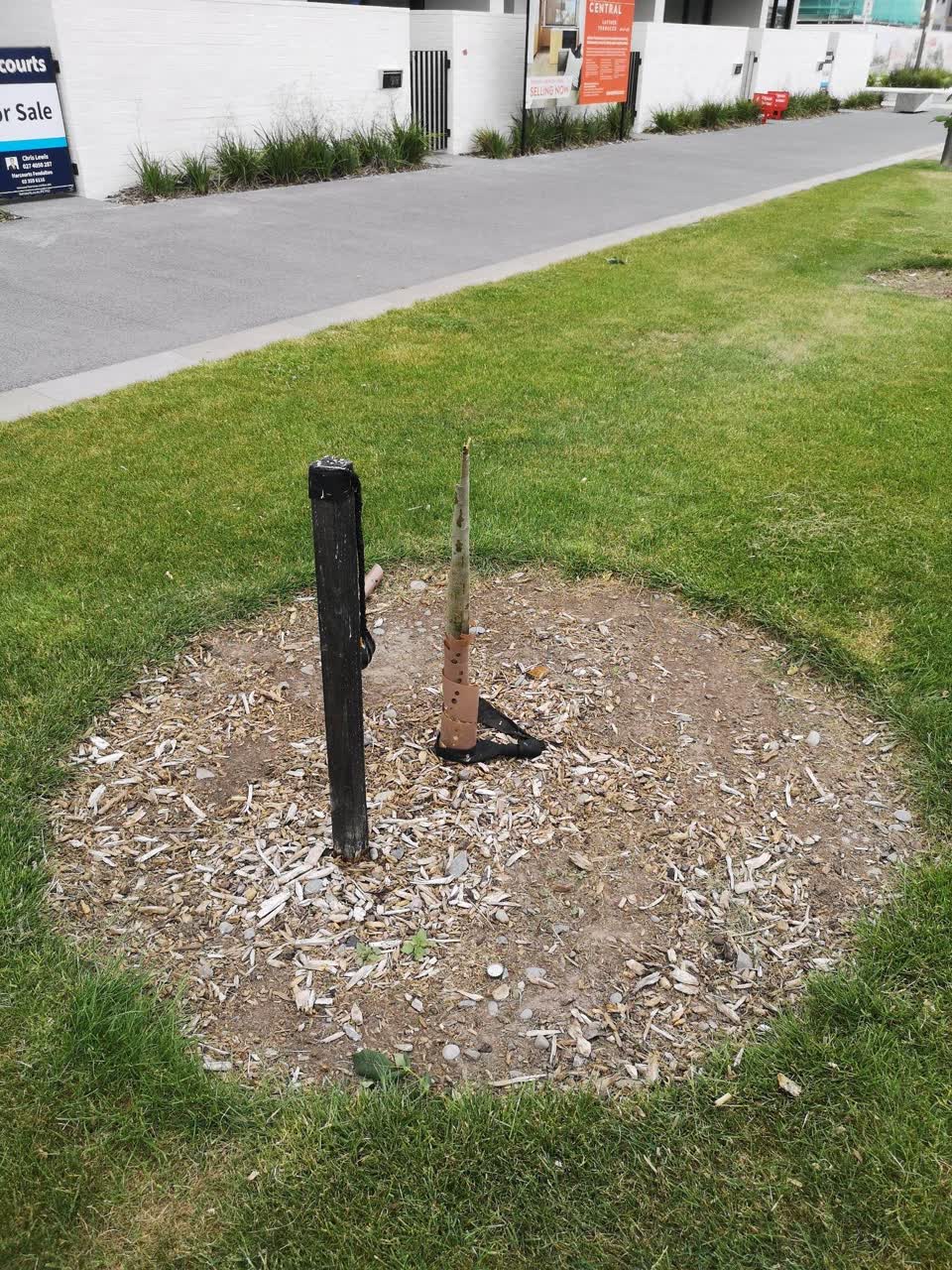 The photograph attached to this parks report
