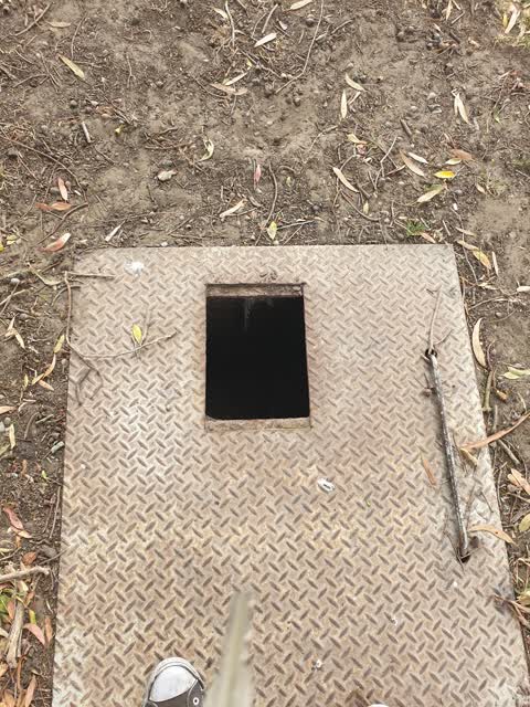 Parks — a report photo